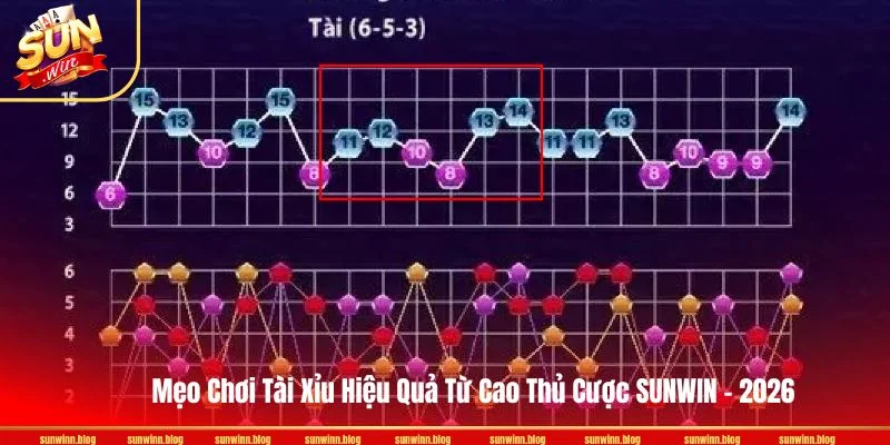 Mẹo Chơi Tài Xỉu Hiệu Quả Từ Cao Thủ Cược SUNWIN - 2026